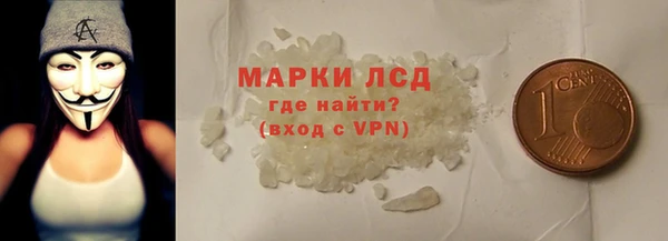 индика Верея