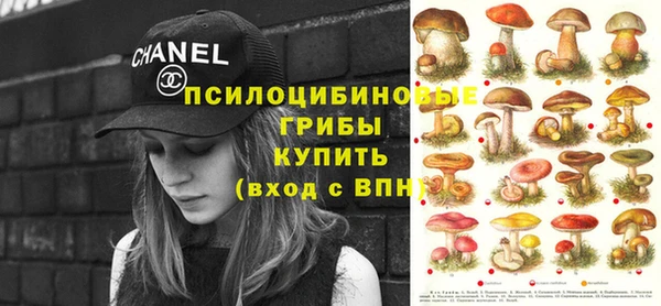 spice Волоколамск