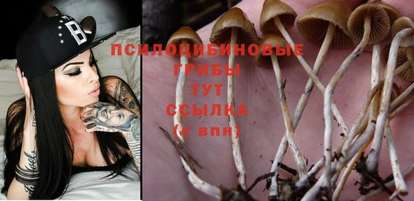 a pvp Волосово